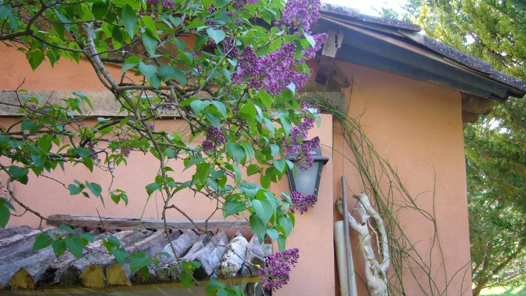 La Maison De Melen Мустье-Сент-Мари Экстерьер фото